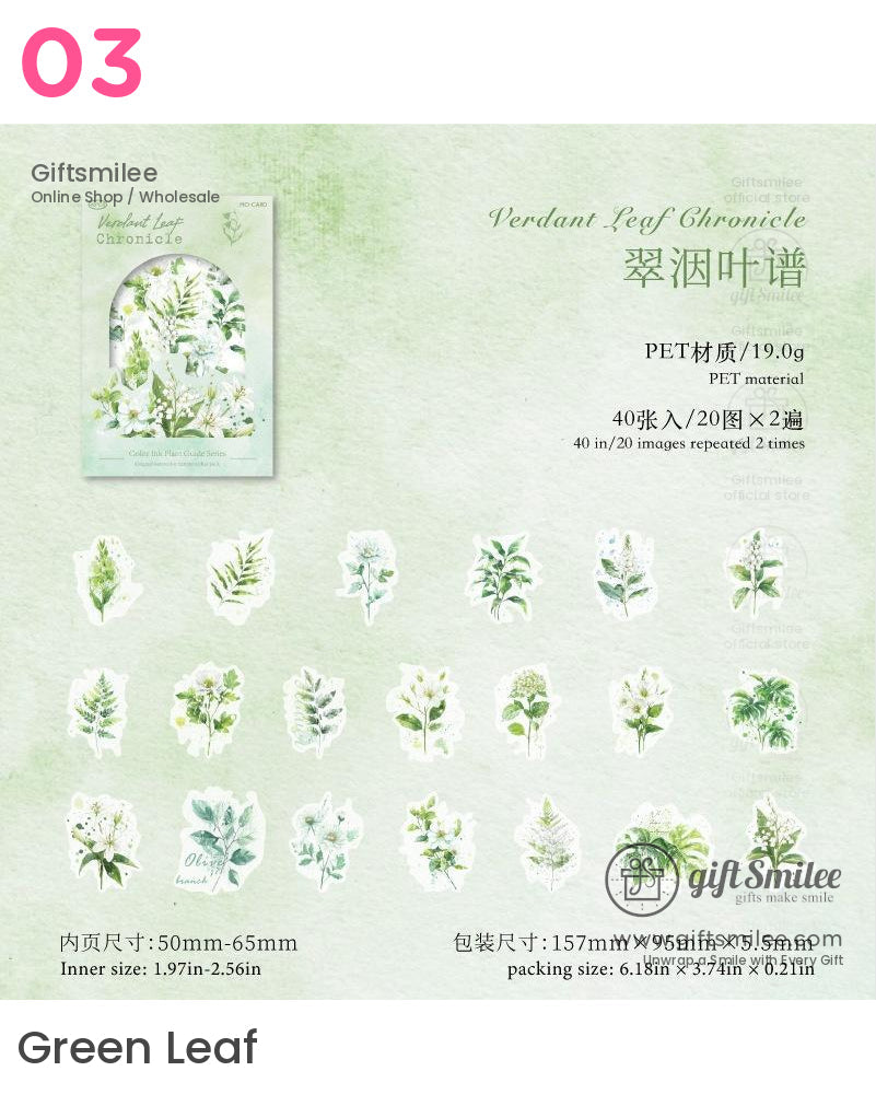 彩色墨水植物插圖貼紙包 | KS-SA-4129
