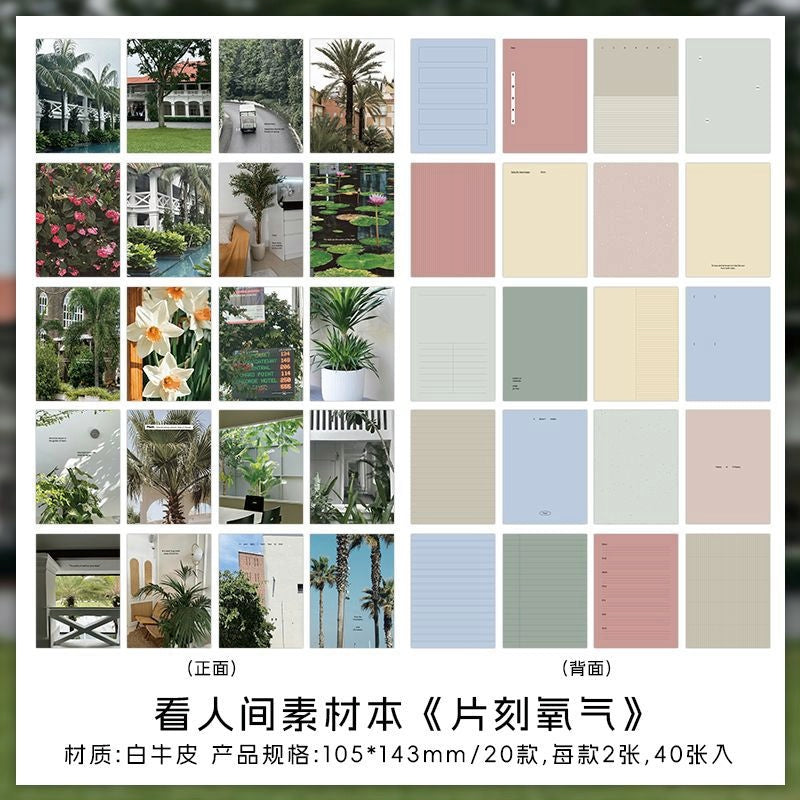 Collage of plantthemed postcards and pastelcolored notepaper featuring greenery tropical scenery and minimalistic designs