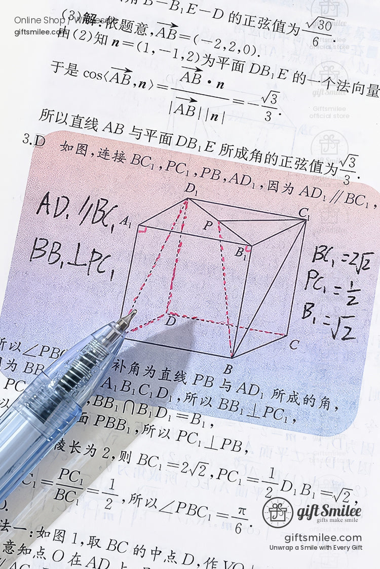 KS-SN-010-RG-body-image-08-slice_regions.jpg